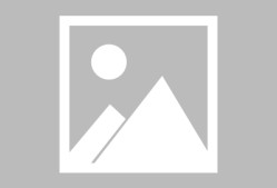 伯科夫女子50米仰泳决赛夺冠有望